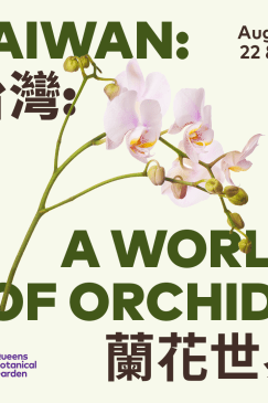 Taiwan: A World of Orchids Exhibition at Queens Botanical Garden