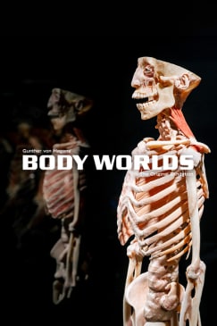 Body Worlds: The Anatomy of Happiness