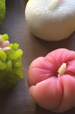 名古屋発1日ツアー：和菓子教室＆抹茶畑ツアー