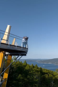 Malahat SkyWalk Biglietti d'ingresso generalizzati
