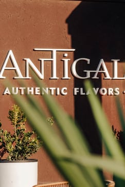 Antigal Lunches