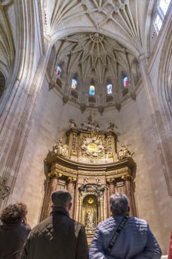 Visita guiada a la Catedral de Segovia