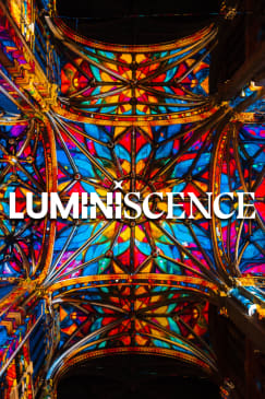 LUMINISCENCE : Discover the secrets of the San Jacinto Parish