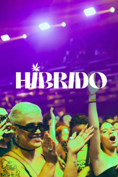 Festival Híbrido