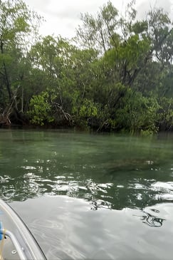 Clear Kayak Eco Tour à Jupiter, Floride