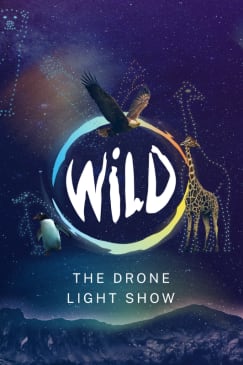WILD: The Drone Light Show - Southampton