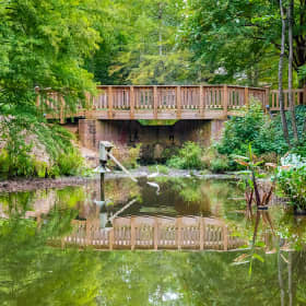 Events & Things to do in Aiken - Fever