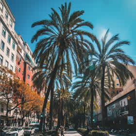 Events in Valencia & Things to do - Fever