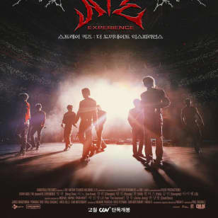 Stray Kids: The dominATE Experience