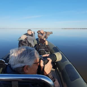 Observação de Aves no Estuário de barco