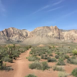 Guided or Self-Guided Road Bike Tour of Red Rock Canyon
