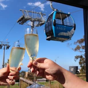 Arthurs Seat Eagle: Roundtrip Gondola Ticket + Drink