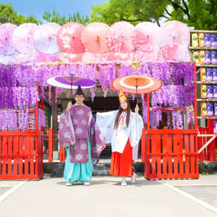 Experience Being a Shinto Priest or Shrine Maiden at NAGOYA