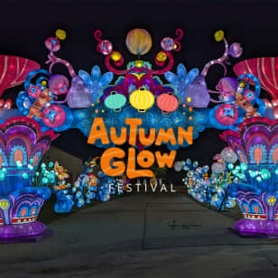 Autumn Glow Festival (Rotterdam Junction, NY) - Waitlist