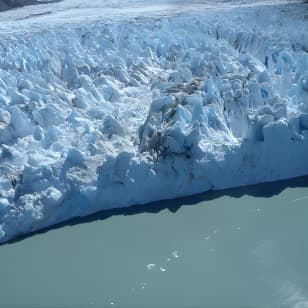 Glacier & Wildlife Discovery Tour
