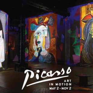 Picasso: Art In Motion | Group Booking (Groups of 12-50)