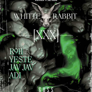 White Rabbit Techno