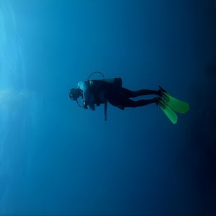 Under a sea of adventures, unforgettable diving.