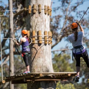 Treetops Adventure: Nowra Park