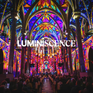 LUMINISCENCE New York City: A Spectacular Fusion of Light, Music, and Story - Waitlist