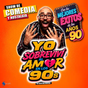 I Survived Love in the 90s