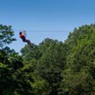 Ziplining and Climbing at The Adventure Park at Virginia Aquarium