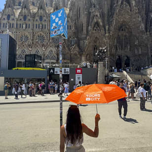 El atardecer de Gaudí: Visita guiada a la Sagrada Familia y el Parc Güell
