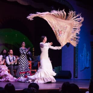 ﻿Palace of Embrujo Seville: Flamenco Show