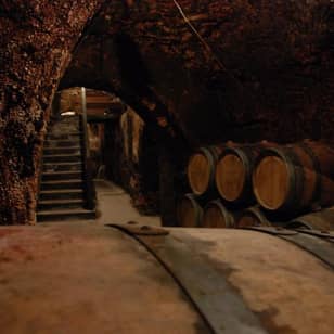 ﻿1 day excursion with wine tasting in the Madrid region