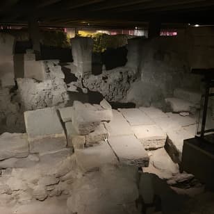 Visite à pied de la cathédrale Notre-Dame de Paris avec entrée à la crypte