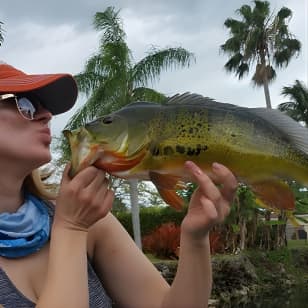 Peacock Bass Fishing Trip in Boynton Beach