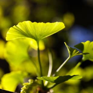 Tour delle erbe, dei prodotti botanici e delle spezie