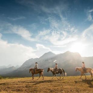 Ridge Ride 2-Hour Horseback Trail Ride in Kananaskis