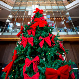 Ceia de Natal no Hilton São Paulo Morumbi