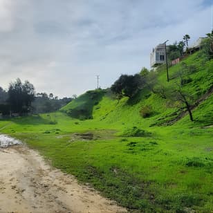 ﻿LA River Eco Tour and Secret Stair Hike