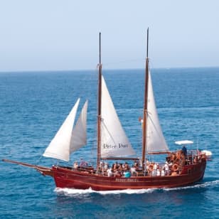 Los Cristianos: Paseo en barco guiado para avistar ballenas