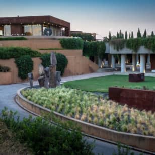 Bodegas Torres: Visita guiada + Maridaje de vinos y tapas