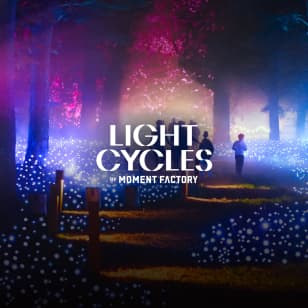 Light Cycles: ¡Un paseo nocturno mágico entre las luces y los sonidos de la naturaleza!