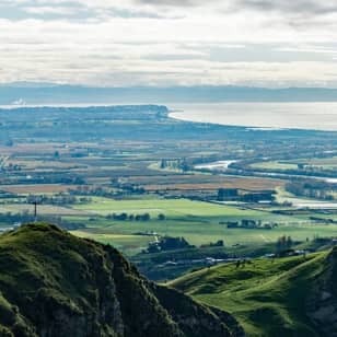 Deco Napier, Te Mata Peak, Wine & Cheese tasting