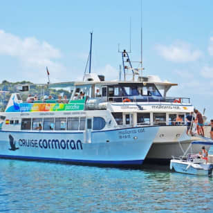 ﻿Santa Ponsa: Dolphin watching on glass bottom boat