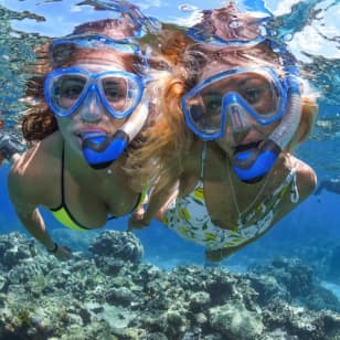 Outer Great Barrier Reef Full-Day Tour with Lunch