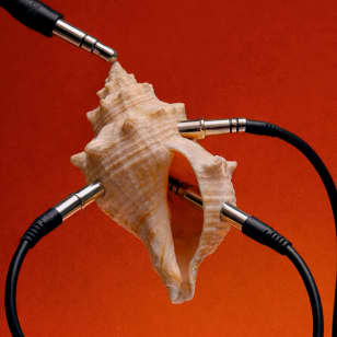 Sound Ecologies de Carincur