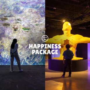 Happiness Package: The Art of the Brick + Monet
