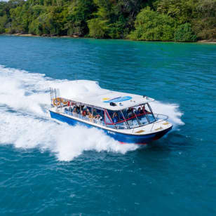 ALBATROSS HOHO SPEEDBOAT PASS