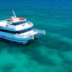 ﻿From Miami: Excursión en barco con fondo de cristal por Cayo Hueso