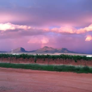 Fine Wineing - A Wine Tasting Experience in the vineyards of the Desert!