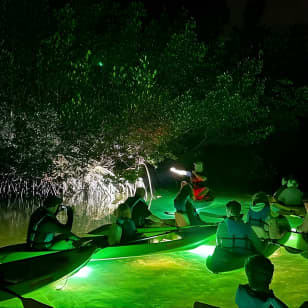 Sharkey's Glass Bottom Fish Feeding LED Night Tour in Sarasota