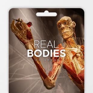 Real Bodies: A Journey Through the Human Experience - Gift Card