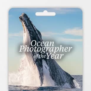 Ocean Photographer of the Year Exhibition - Gift Card