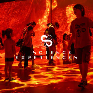 Science Expériences: Immersive Science Museum in Lyon